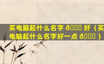 买电脑起什么名字 🐟 好（买电脑起什么名字好一点 🐒 ）